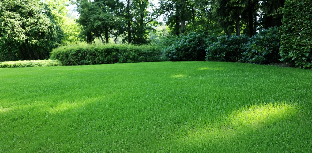 Moderný gabionový plot na svahu